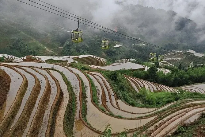 Terraços de Arroz de Longji (Longji Rice Terraces)