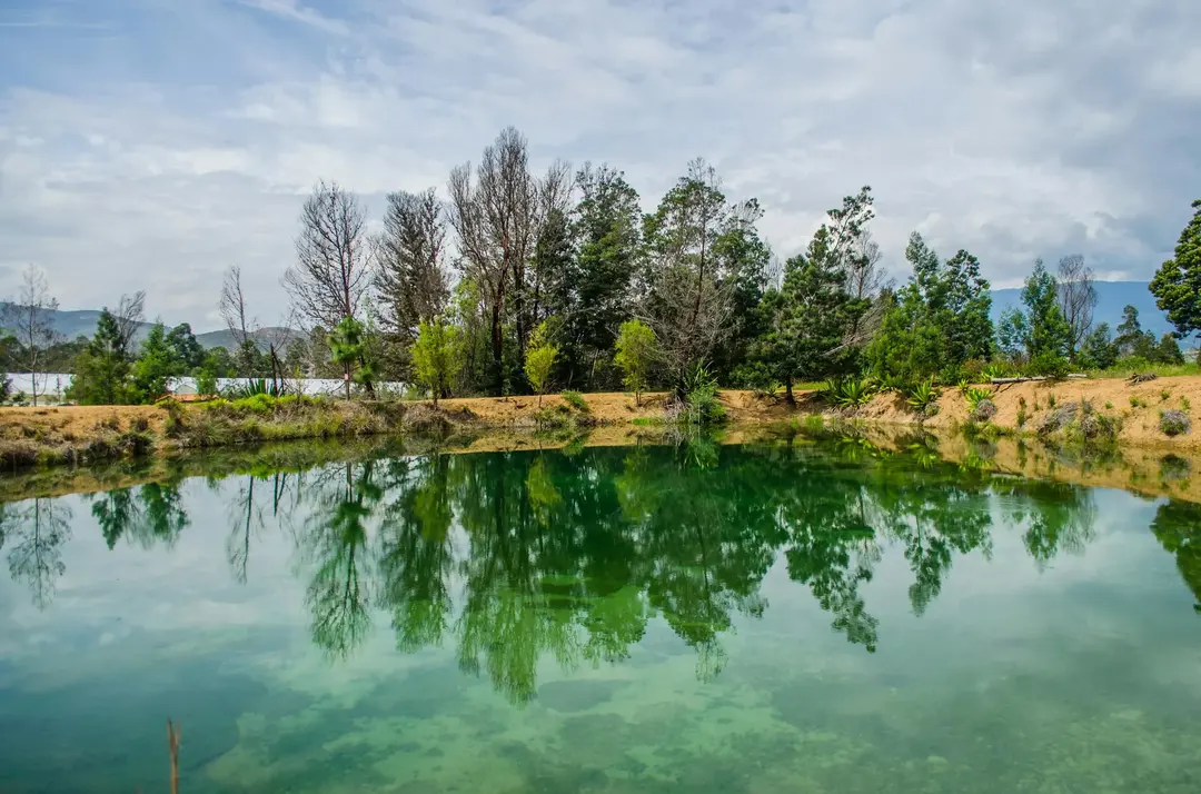 Paisagem com árvores e lago de Villa de Leyva na Colômbia, tornando um ótimo destino na América do Sul.