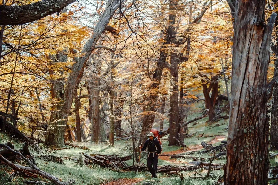 Homem fazendo trilha na floresta de El Chaltén, na Argentina, um outro ótimo destino na América do Sul.