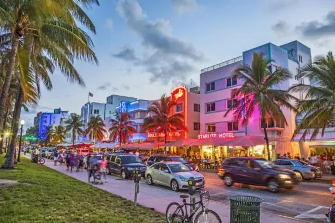 Planeje sua estadia em Miami com inteligência: clima, atividades e compras.