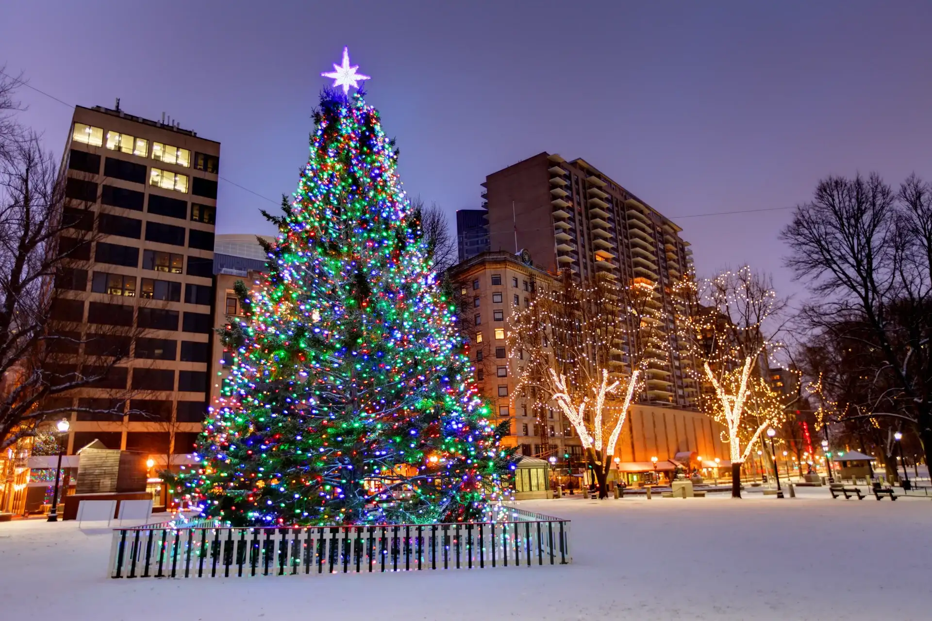 Como Celebrar o Natal em Boston: Dicas de Eventos, Decoração e Compras