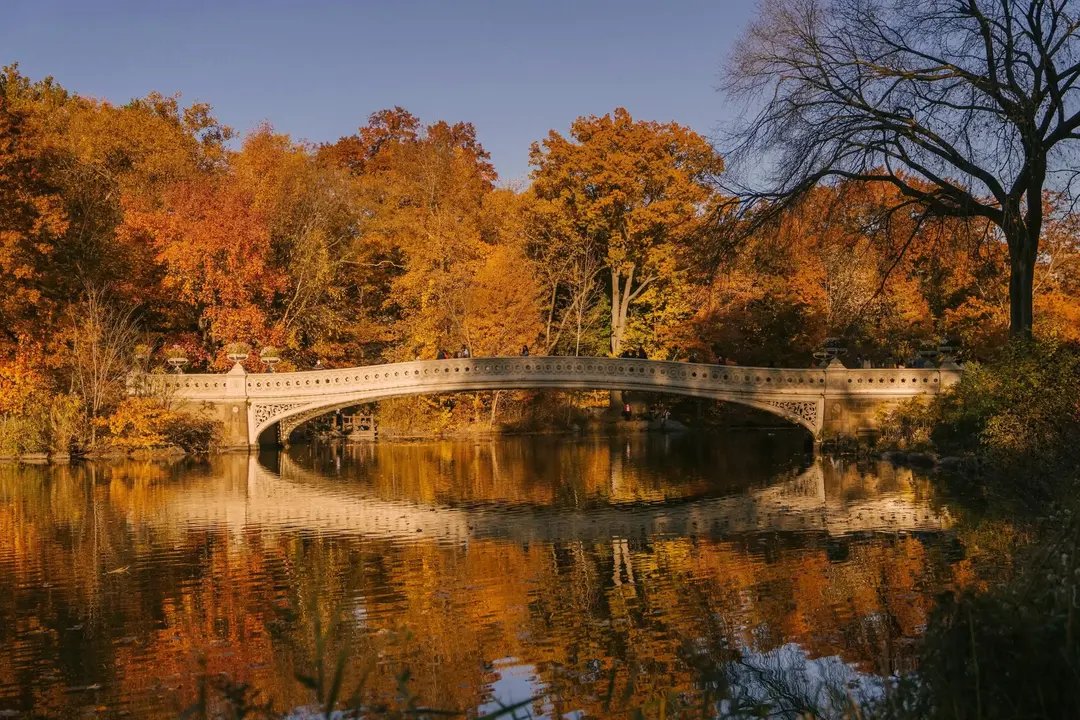Central Park durante o outono em Nova York.