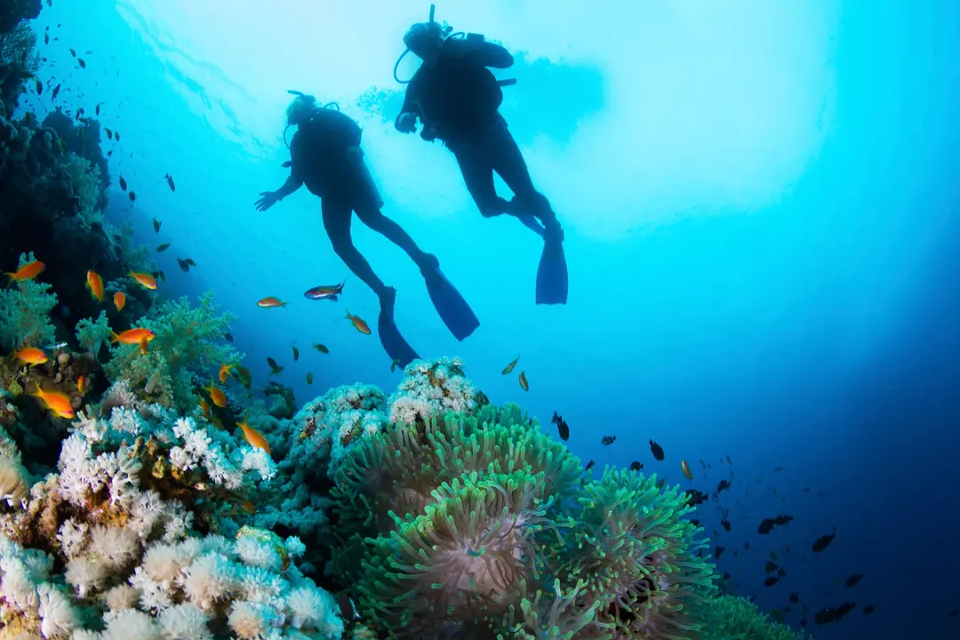 6. Reserve um Passeio de Barco ou Snorkeling
