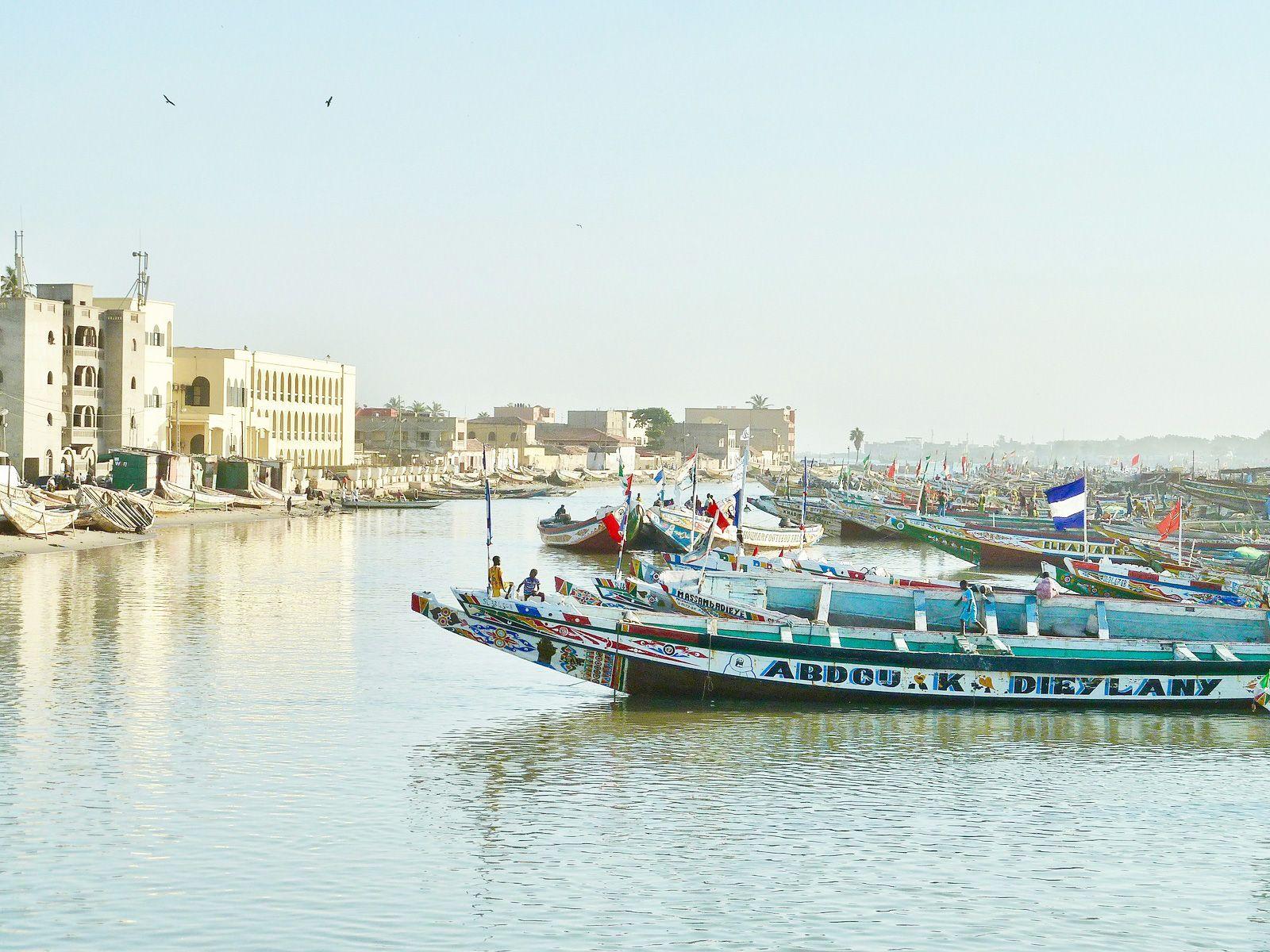 Image of the Wavee Global Senegal eSIM
