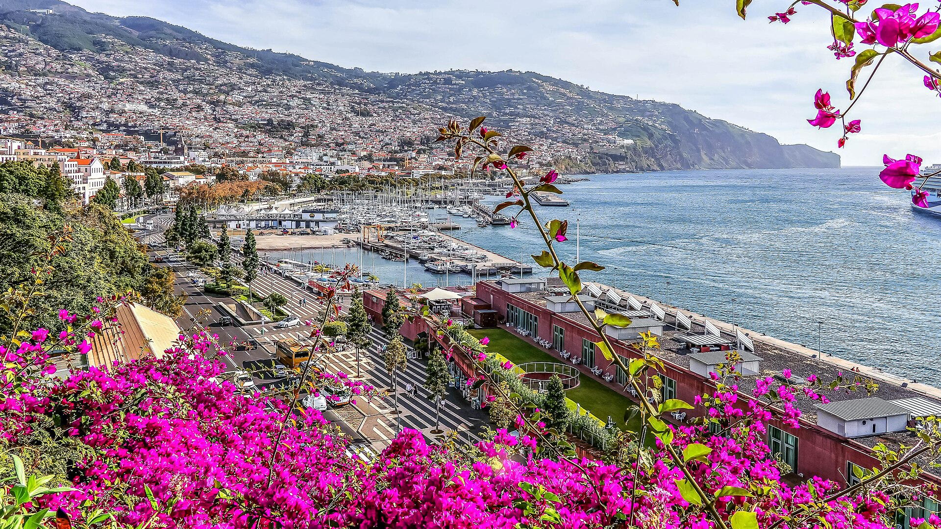 Image of the Wavee Global Madeira eSIM