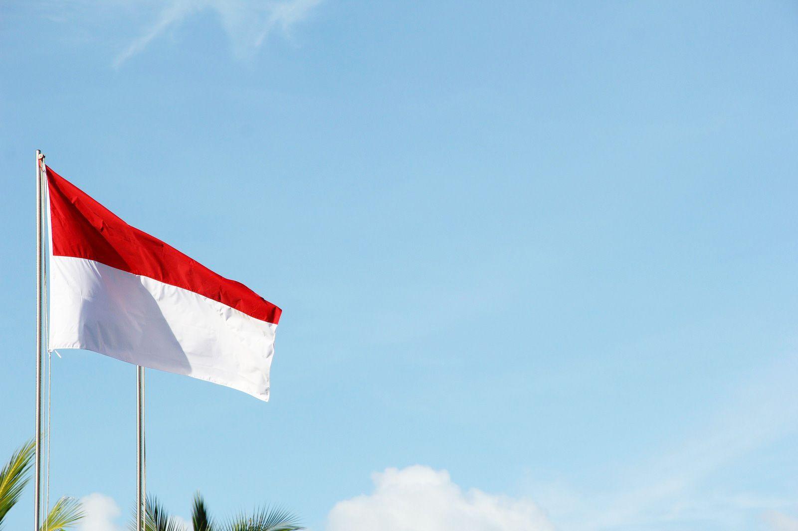 Imagen del eSIM Indonesia de Wavee Global