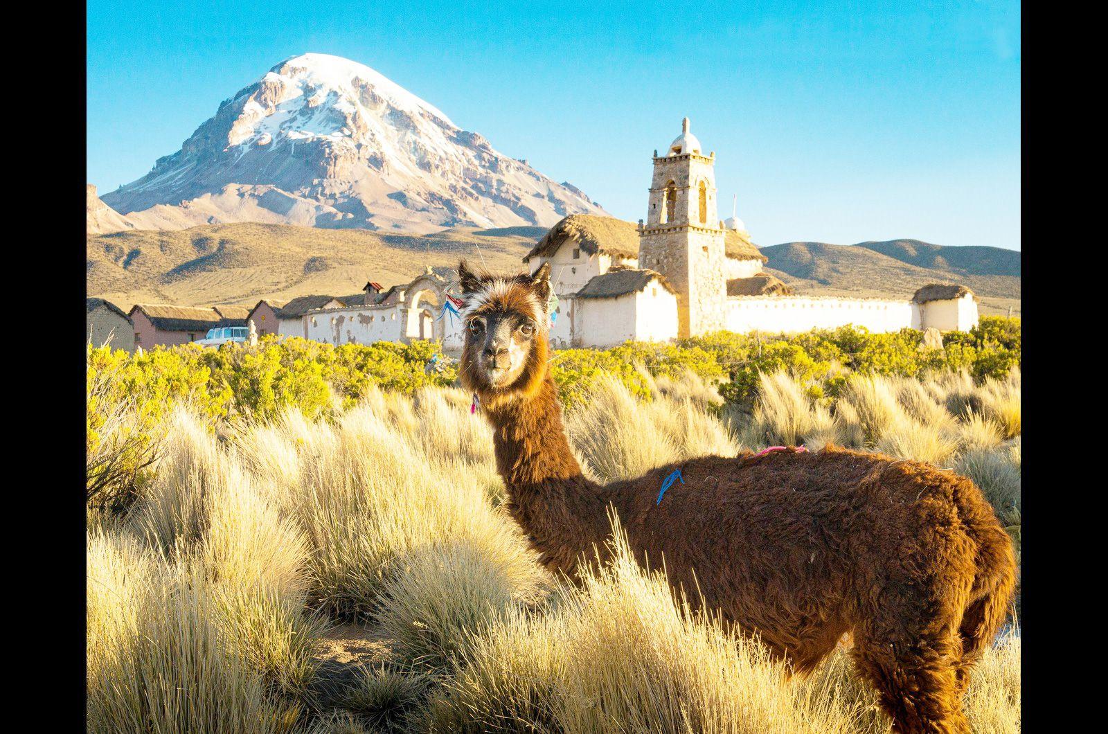 Image of the Wavee Global Bolivia eSIM