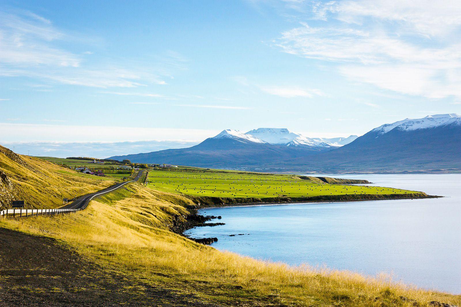 Imagen del eSIM Islandia de Wavee Global