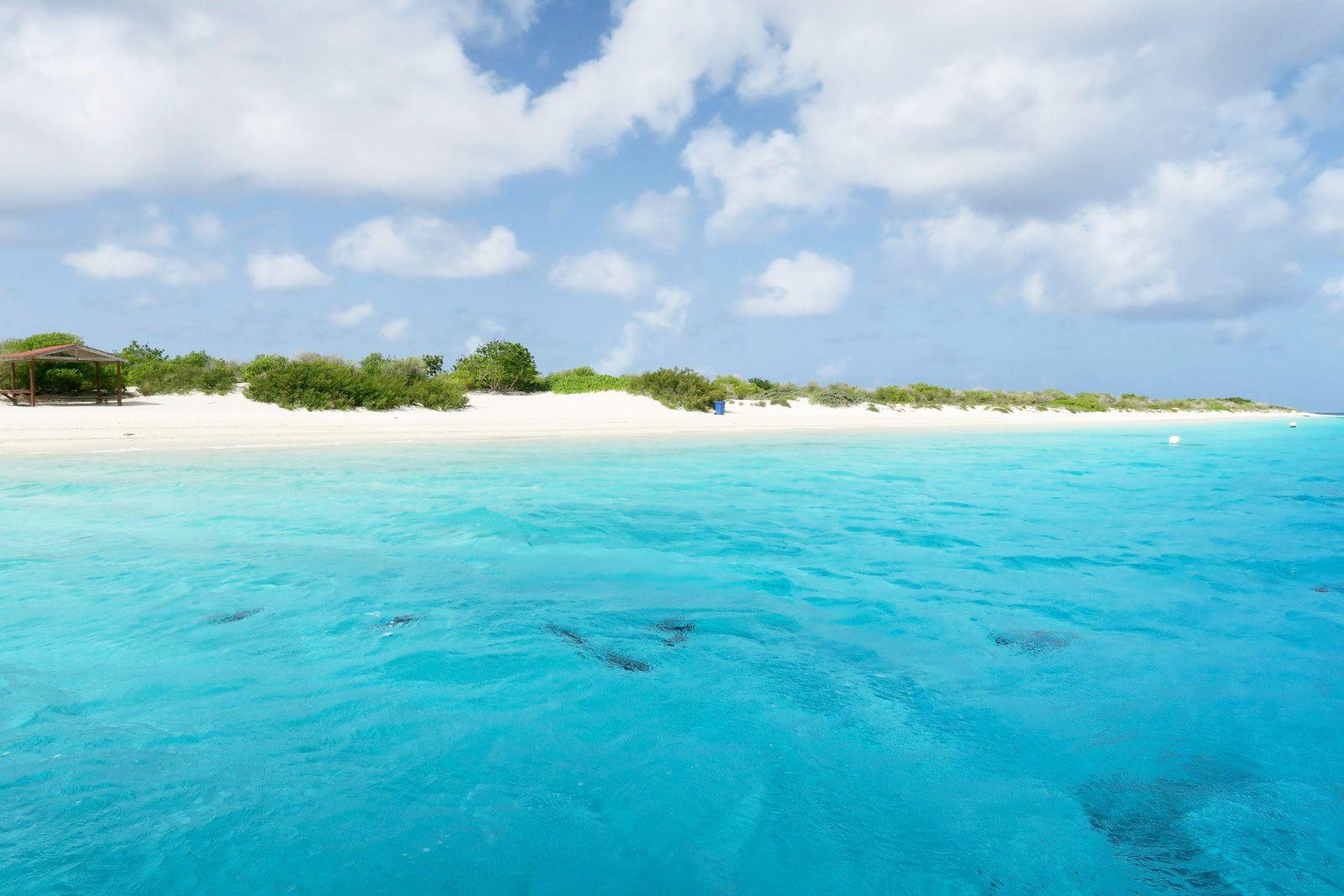 Imagen del eSIM Bonaire de Wavee Global