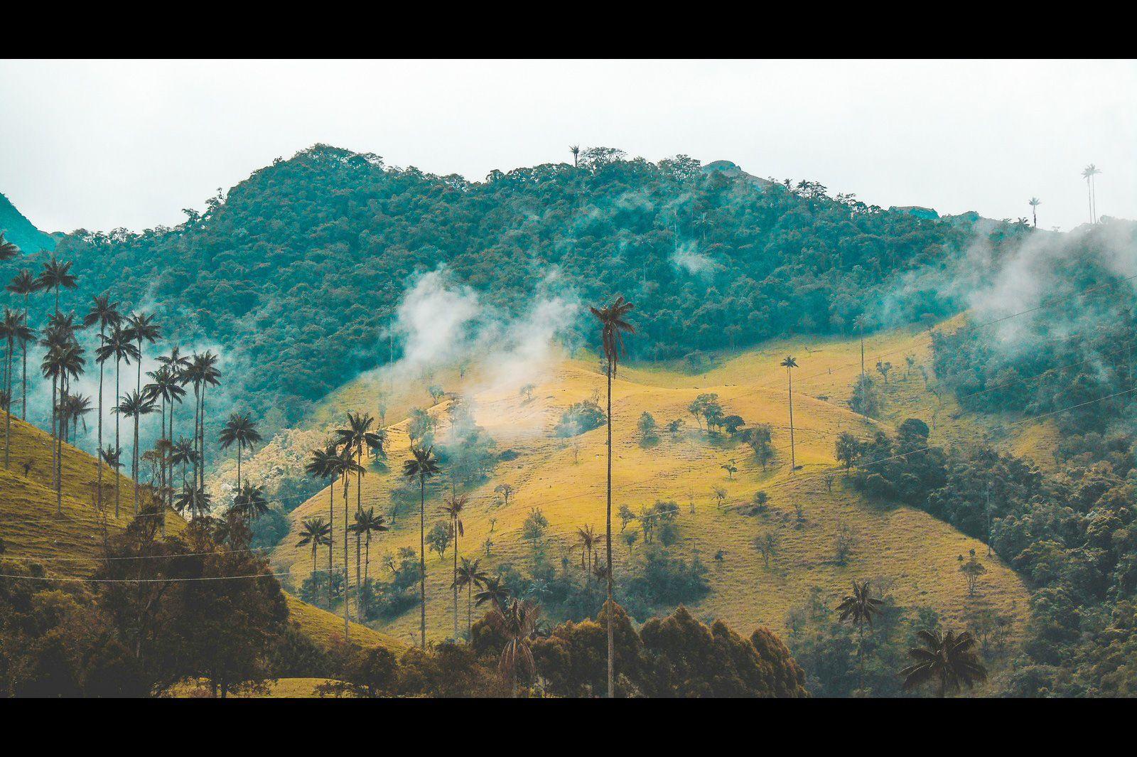 Imagen del eSIM Colombia de Wavee Global