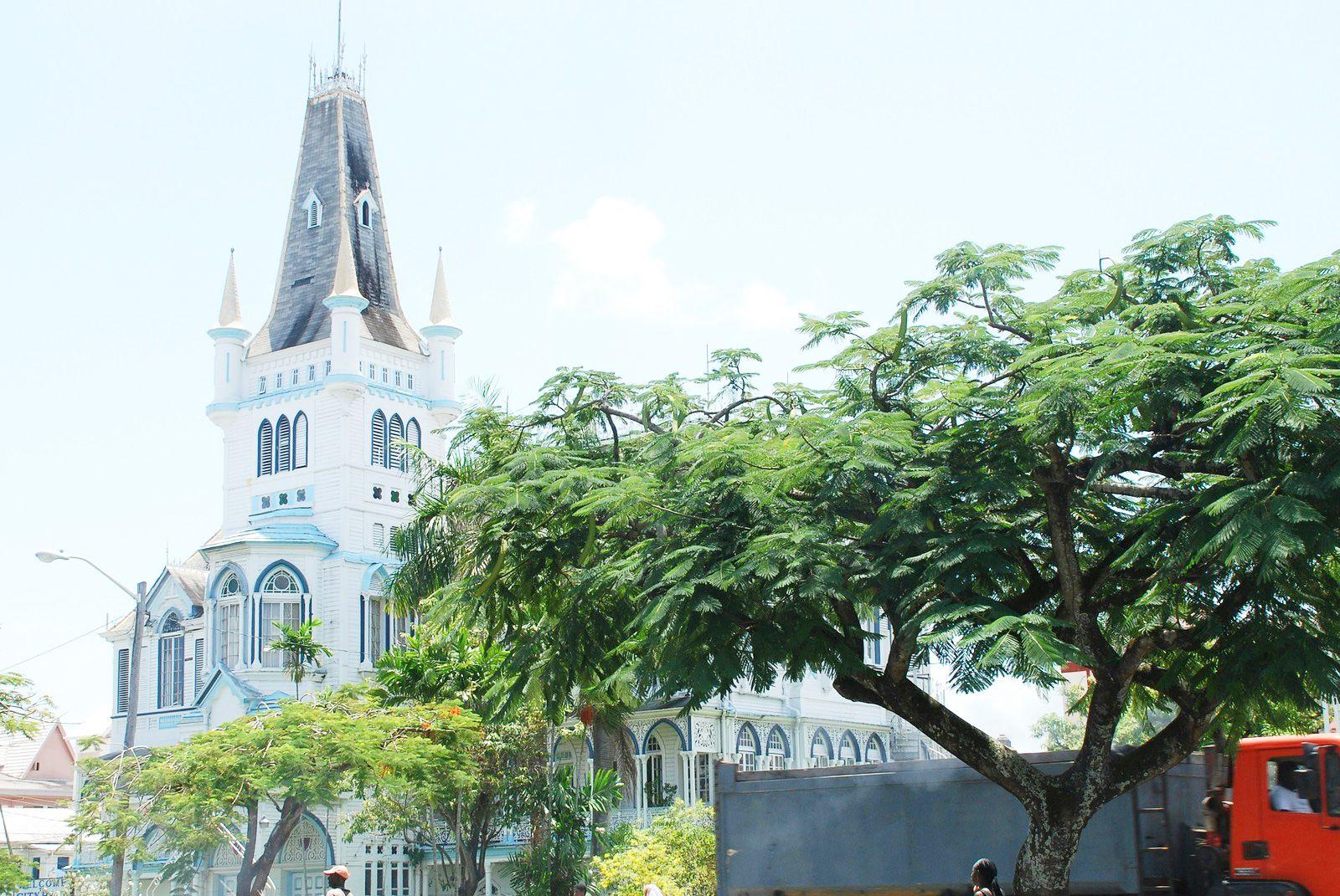 Imagem do eSIM Guiana da Wavee Global