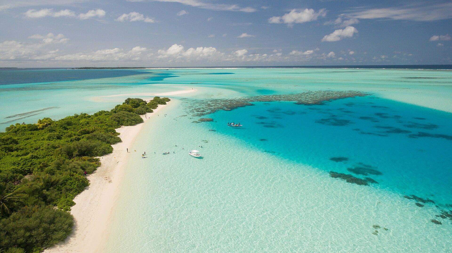 Image of the Wavee Global Maldives eSIM