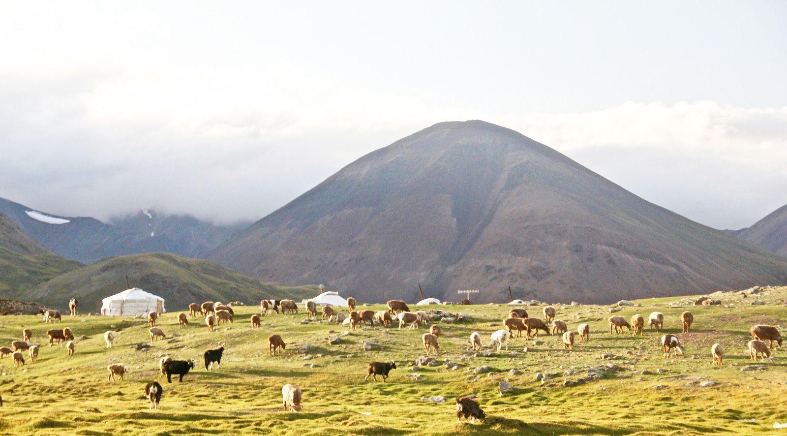 Imagen del eSIM Mongolia de Wavee Global