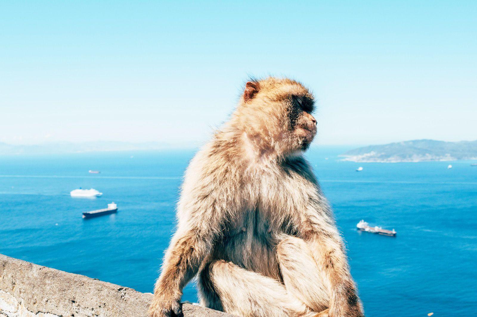 Imagen del eSIM Gibraltar de Wavee Global