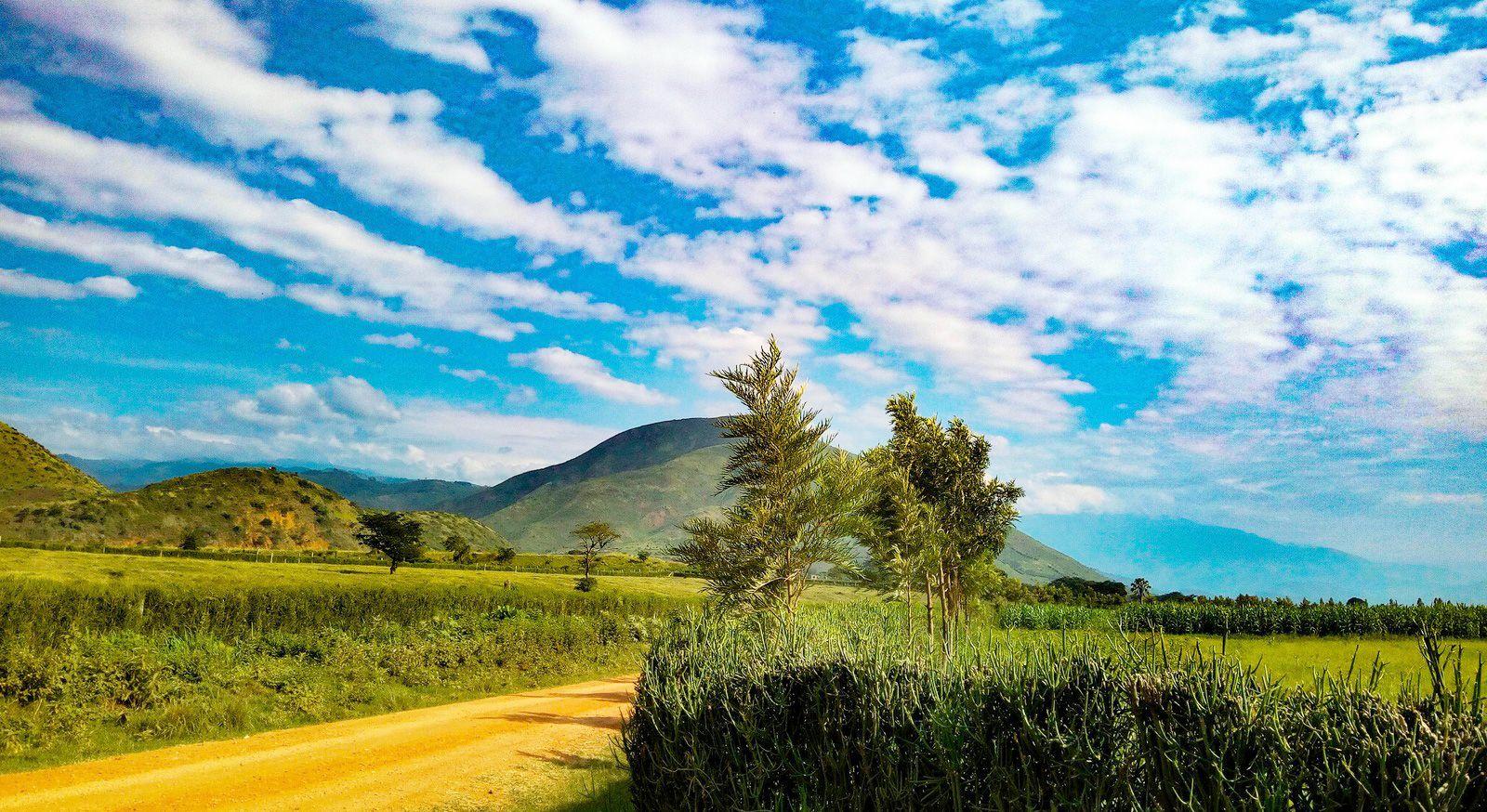 Image of the Wavee Global Uganda eSIM