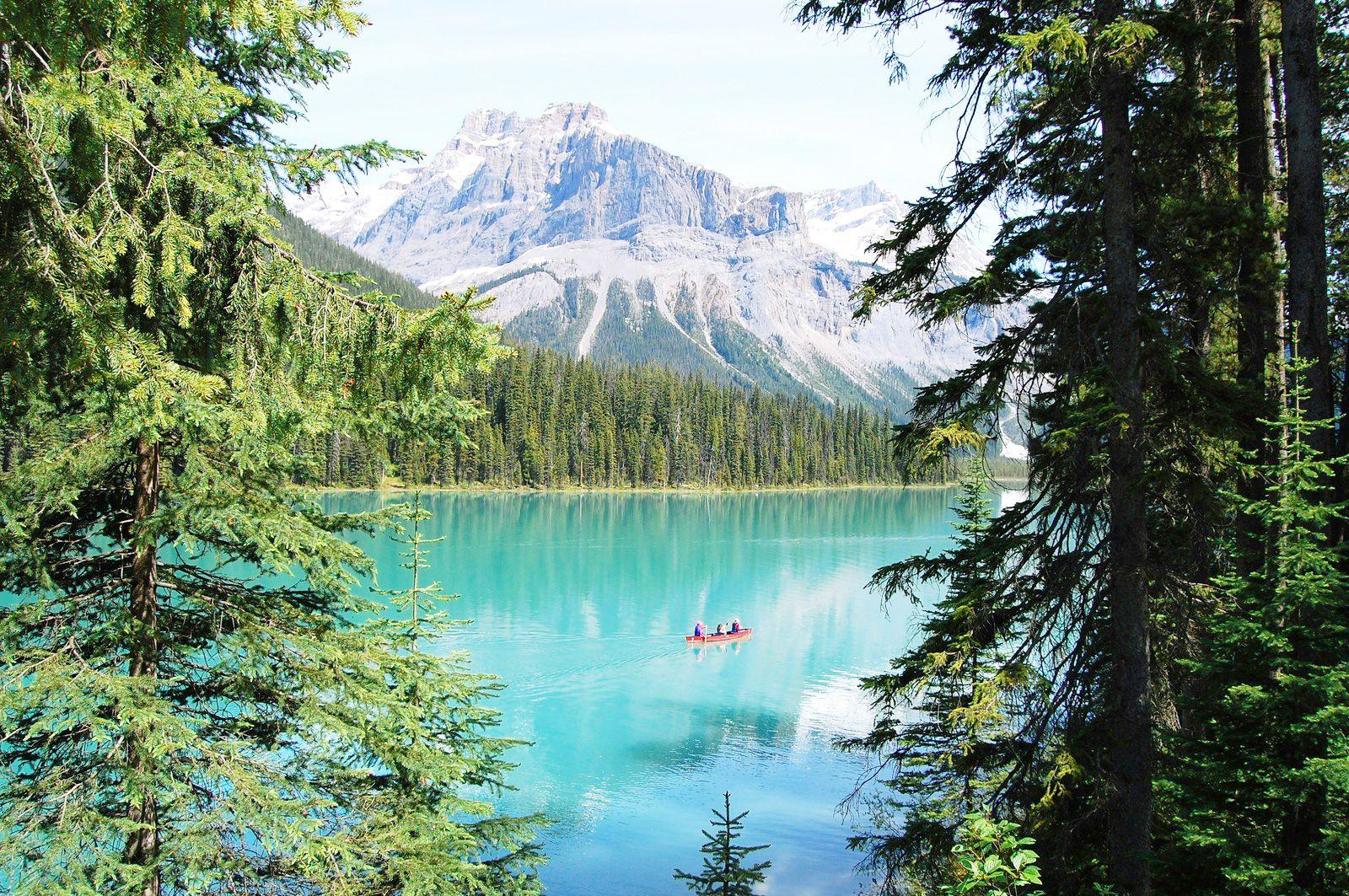 Imagem do eSIM Canadá da Wavee Global