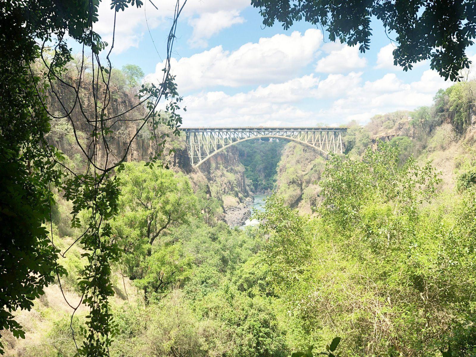 Image of the Wavee Global Zambia eSIM