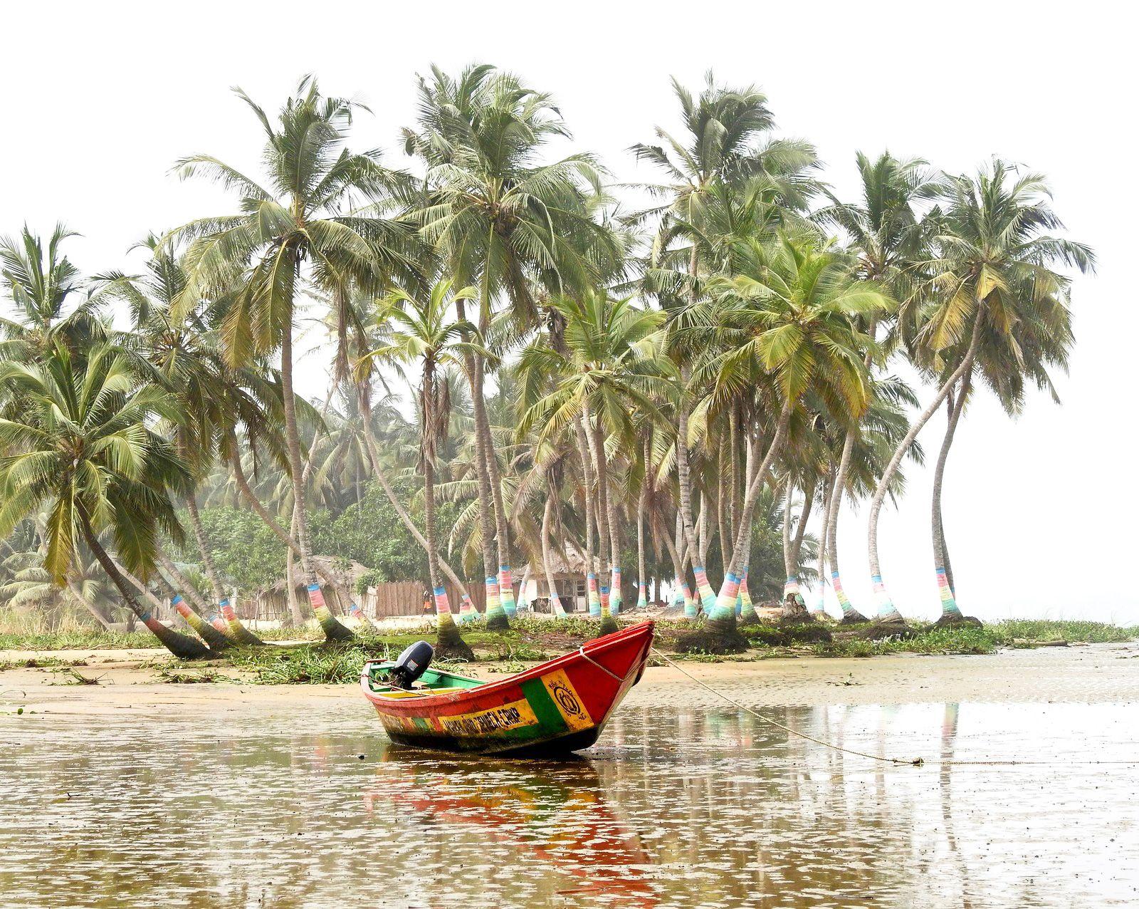 Imagen del eSIM Ghana de Wavee Global