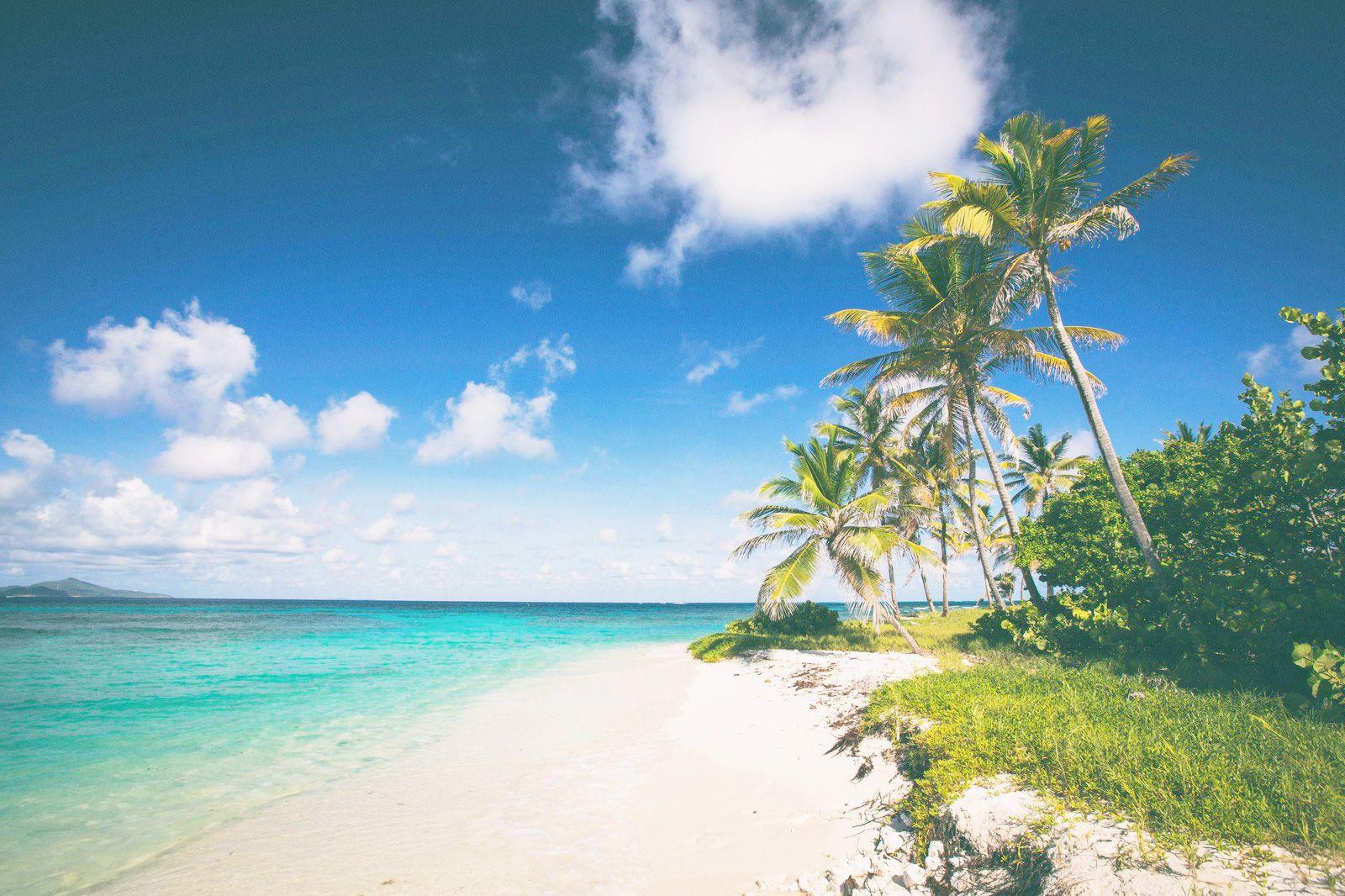 Image of the Wavee Global Caribbean eSIM