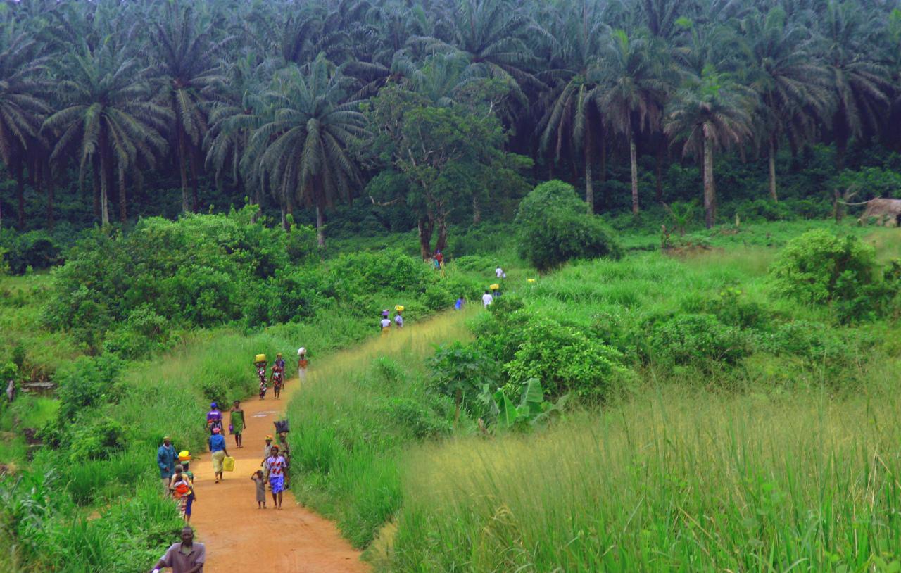 Image of the Wavee Global Sierra Leone eSIM